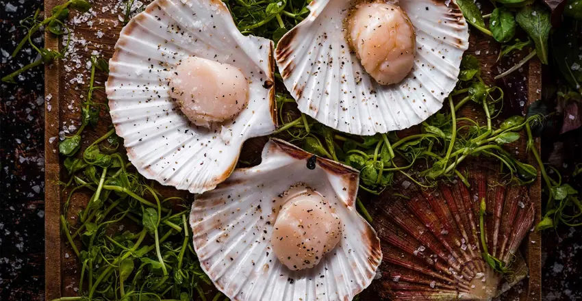 White Lion Hotel, coastal hotel in Suffolk, Fresh Scallops 