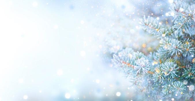 Adobestock 232622264
