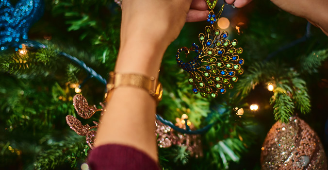 Adobestock 229338204